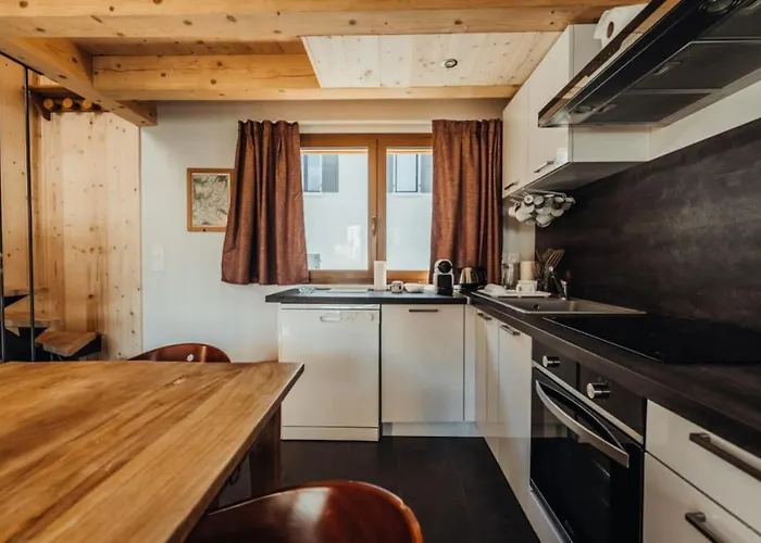 Marius - 1ch Jardin Garage Balcons 5mncentre * Chamonix